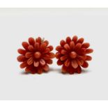 A pair of flowerhead carved red coral earrings with gold backs and hooks Dia 27mm