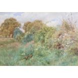 Charles COLLINS (c.1818-1899)Study of a Hedgerow Watercolour Signed 25.5 x 26.5cm