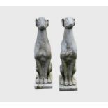 A pair of reconstituted stone seated whippet garden ornaments. Height 56cm.
