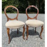 Two Victorian walnut balloon back dining chairs, each with a padded seat and cabriole legs, height