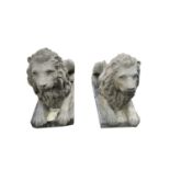 A large pair of reconstituted stone recumbent lions on rectantular plinths. Length 82cm.