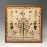 A Victorian needlework sampler by Sarah Curnow Rowe, 1882, Aged 13 years, inscribed 'The Serpent