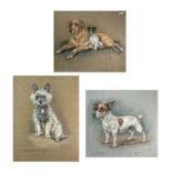 Marjorie COX (1915-2003) Three dog studies $6x54cm, 46x36cm and 38x41cmCondition report: Each work