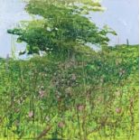 Paul LEWIN (1967)Summer Hawthorn, Higher TryeMixed mediaSigned and dated '98Inscribed to verso 22