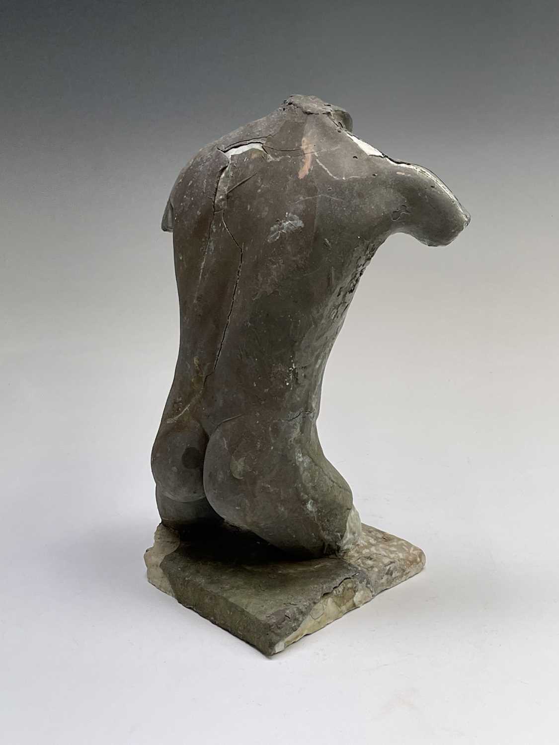 Alec WILES (1924)Males Torso Plaster and resin sculpture Signed Height 31cm - Image 6 of 13