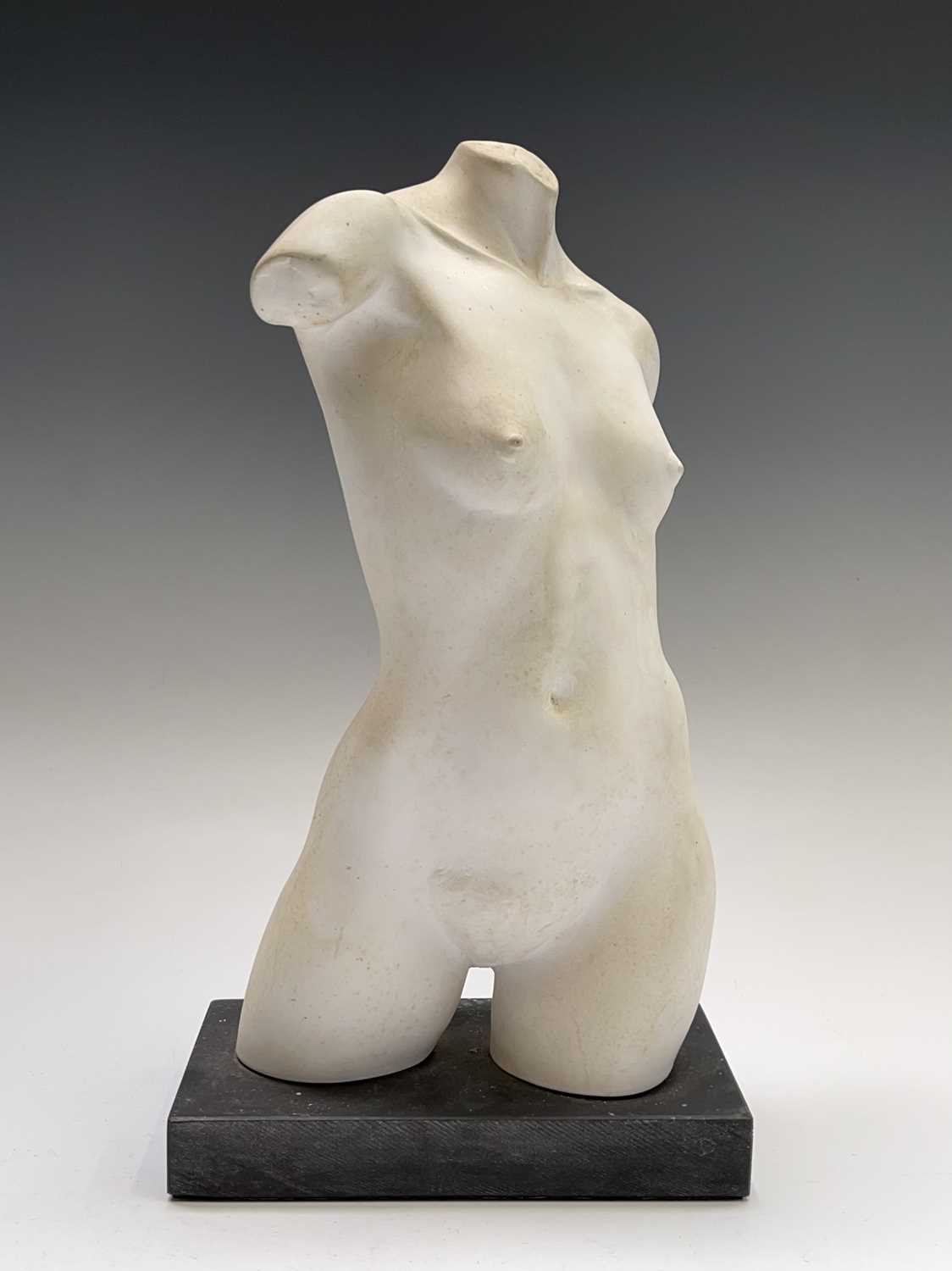 Alec WILES (1924)Female Torso Plaster sculpture Height 32cm - Image 9 of 10