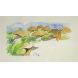Paul HOGARTH (1917-2001)Mushrooms Watercolour Signed 17 x 28cmPainted for 'A Year in Provence' by