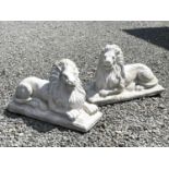 A pair of white painted composition stone recumbent lion garden ornaments. Height 35cm, width