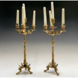 A pair of gilt metal ornate candelabra, probably French, circa 1890, each with a central sconce