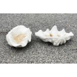 A pair of reconstituted stone garden ornaments of giant clam shell form, width 62cm.