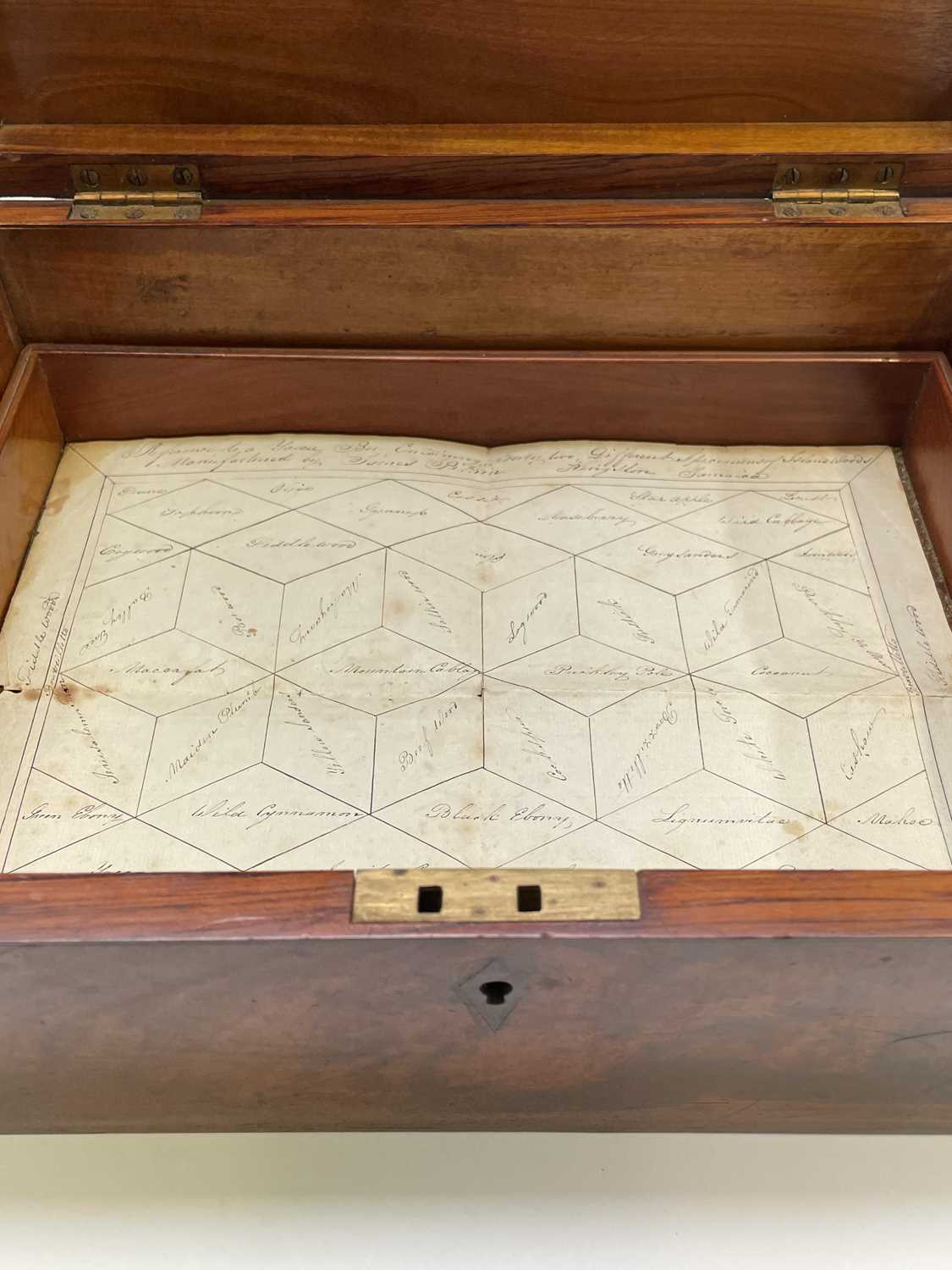 A rare Jamaican specimen wood workbox, by James Pitkin, Kingston, Jamaica, circa 1835/1840, the - Image 21 of 35