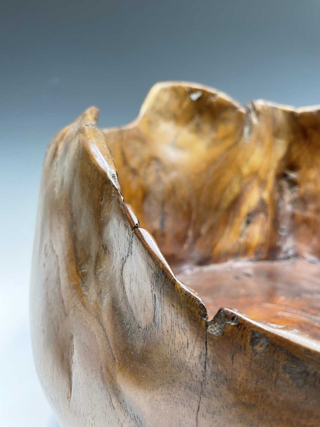 A gnarled walnut large bowl, of rustic form, with misshapen rim, height 30cm, total width 58cm. - Image 5 of 10