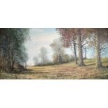Nigel HALLARD (1936-2020), a woodland scene, oil on canvas, signed, framed, image size 50cm x