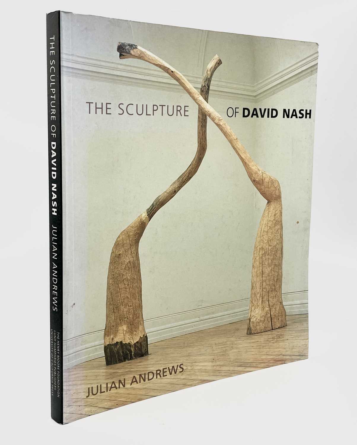 Julian ANDREWS. 'The sculpture of David Nash'. The Henry Moore Foundation, 1999