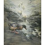 Charles Walter SIMPSON (1885-1971) Ducks Gouache Signed and dated 1913 60 x 49cm