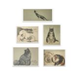 Anne Harriet SEFTON FISH (1890-1965) (Five works) Cats Measurement range from 15 x 34 cm to 36 x