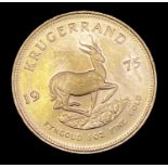 A gold Krugerrand 1975Condition report: This coin is in Uncirculated condition
