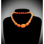 An amber necklace the largest bead 24.43mm wide, 35.1gm