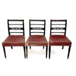 A set of three Regency mahogany dining chairs, the top and centre rails with stiff-leaf carved
