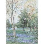 Thomas Edward Francis (1899-1912) watercolour signed, woodland scene, 29cm x 21cm
