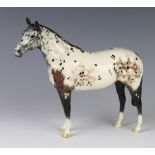 A Beswick figure of an Appaloosa horse h1772, black, white and brown, modelled by Arthur Greddington