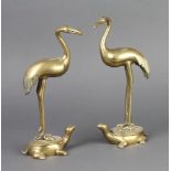A pair of 19th Century Japanese polished bronze figures of standing storks on turtles 24cm h x