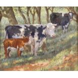 **Donna Crawshaw, born 1960, oil on board signed, study of cattle beneath trees 24cm x 30cm PLEASE