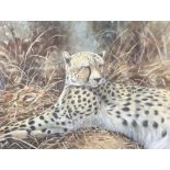 **Mike Donnelly, gouache signed and dated '02, "Cheetah at Rest" 49cm x 66cm PLEASE NOTE - Works