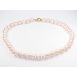 A string of pink cultured pearls with a yellow gold ball clasp, 44cm