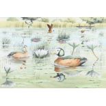 John Tennent (born 1926), watercolour signed, Pygmy geese in the Okavango Swamp 36cm x 55cm