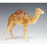 A Beswick figure of a camel, head facing right, 1044, modelled by Arthur Greddington, light and dark