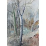 E Scott-Moore, watercolour unsigned, woodland study, label en verso, unframed 52cm x 36cm