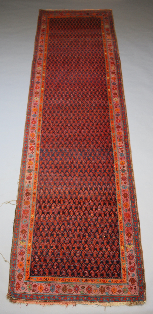 A blue, red, pink and orange ground runner with all over hook design within a 3 row border 405cm x