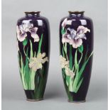 A handsome pair of Japanese black ground cloisonne enamel vases decorated orchids 30cm h x 6cm diam.