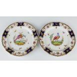 Two Copeland china decorative plates with exotic birds and insects enclosed by floral borders,
