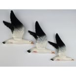 A set of Beswick seagull wall plaques no.922/1/2/3 35cm, 30cm and 23cm