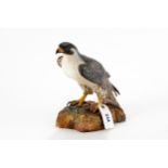 A 20TH CENTURY ROYAL CROWN DERBY MODEL OF A FALCON, on a rocky base, signed L. Payne, printed