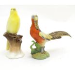 Two Continental models of birds comprising a yellow canary perched on a branch and a pheasant. One