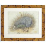 Florence E. Genlloud (b.1865), Watercolour, A New Zealand kiwi bird in a landscape. Signed lower