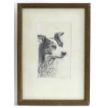 G. R. Marshall, XX, Etching, A portrait of a border collie dog. Dated 1912. Approx. 5 1/4" x 3 1/