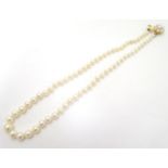 A pearl necklace of graduated pearls with 9ct gold clasp. Approx 14" long Please Note - we do not