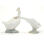 A Lladro honking goose, model no. 4551, together with a Nao duck / goose, model no. 244. Both marked