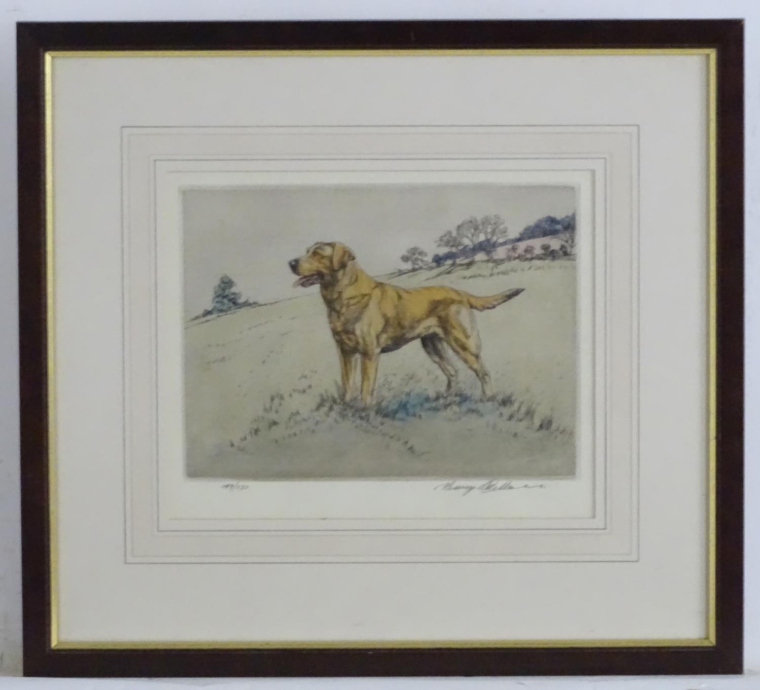 Henry Wilkinson (1921-2011), Limited edition coloured etching, no. 149/250, A gun dog in a - Image 3 of 6