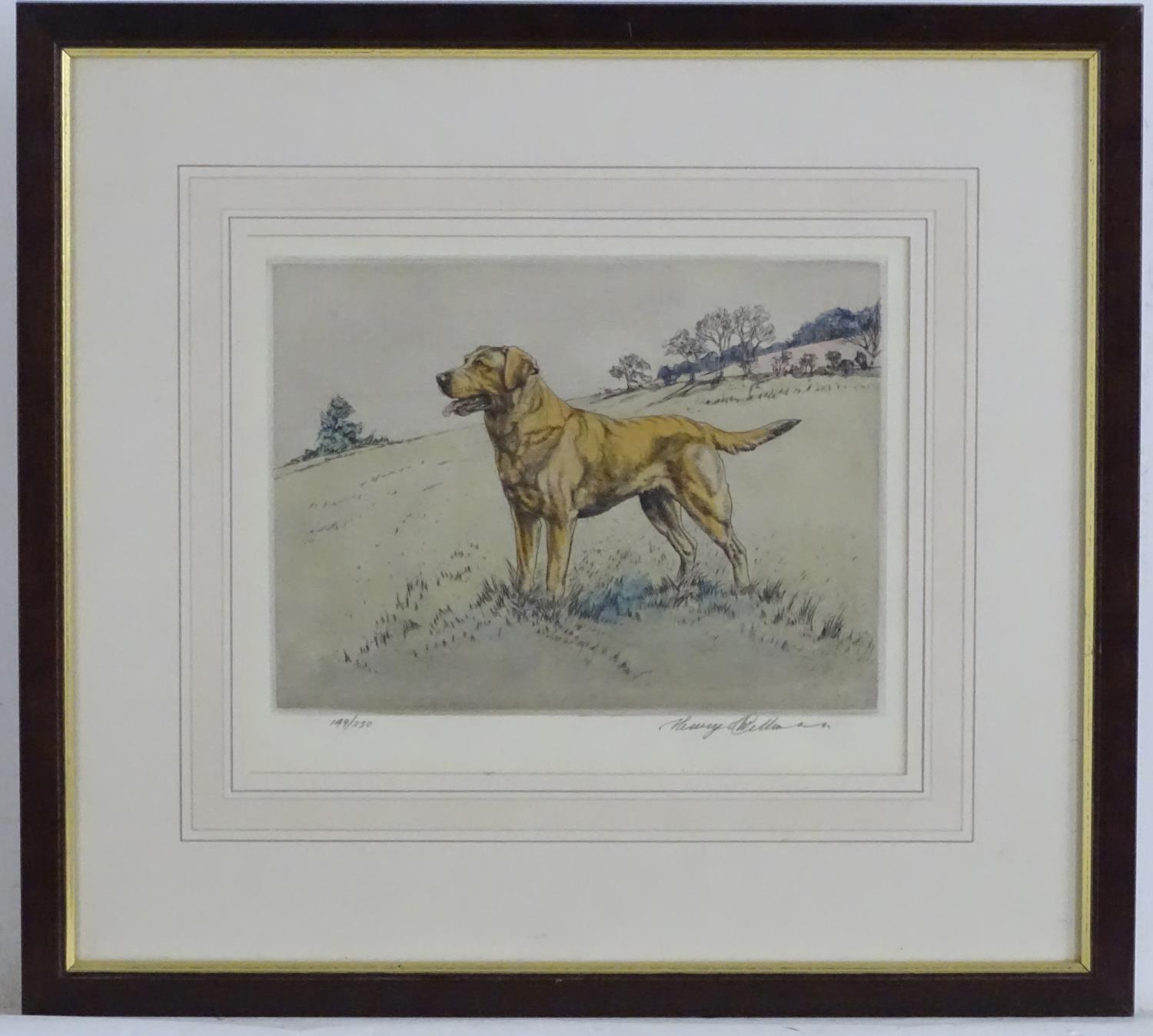 Henry Wilkinson (1921-2011), Limited edition coloured etching, no. 149/250, A gun dog in a