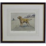 Henry Wilkinson (1921-2011), Limited edition coloured etching, no. 149/250, A gun dog in a
