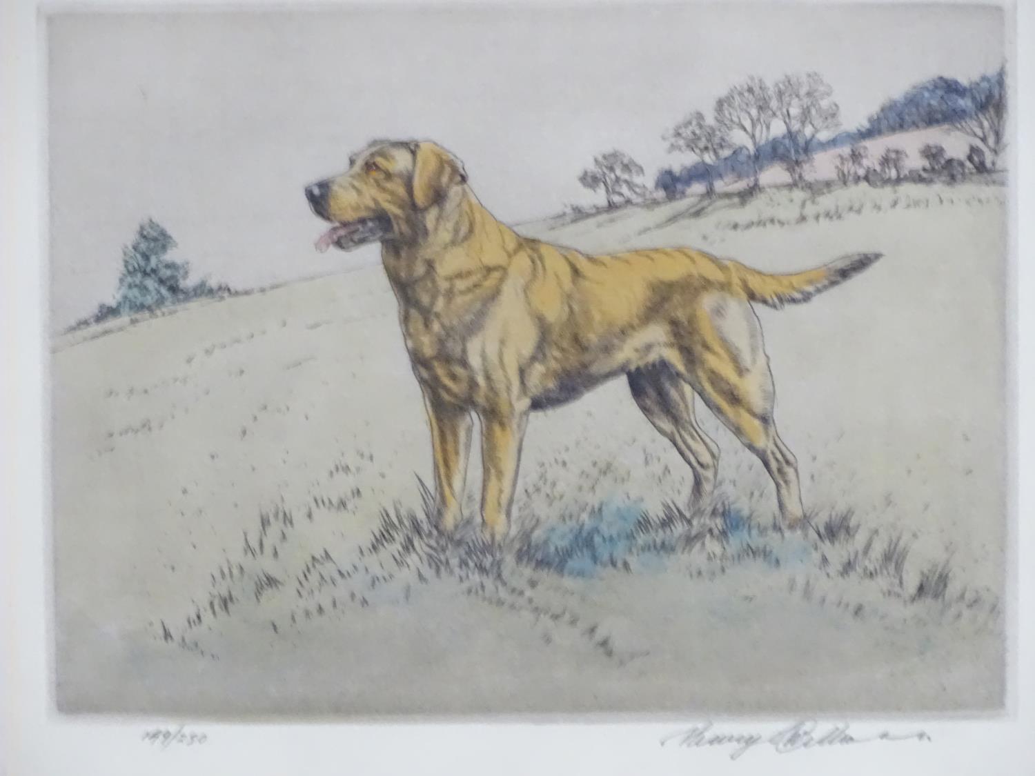 Henry Wilkinson (1921-2011), Limited edition coloured etching, no. 149/250, A gun dog in a - Image 4 of 6