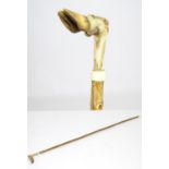 A sportsman's walking stick, with Roe deer hoof handle, hazel shank and antler collar and ferrule,