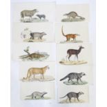 After J. C. Werner, 19th century, French School, Hand coloured lithographic prints, A collection
