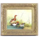 A. Kerekes, 20th / 21st century, Oil on board, A study of ducks by a pond. Signed lower left.