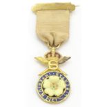 Political badge / medal : A Primrose League gilt metal badge suspended from a ribbon with pin